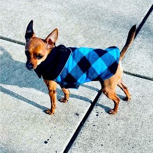 Brand new super warm and soft dog vest.. dog not included ..